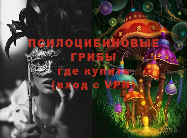 твердый Медвежьегорск