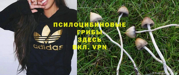 твердый Медвежьегорск