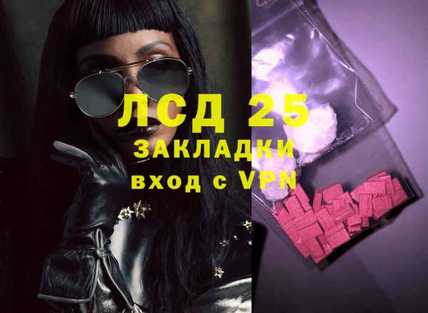 a pvp Магас