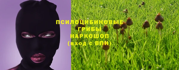 твердый Медвежьегорск
