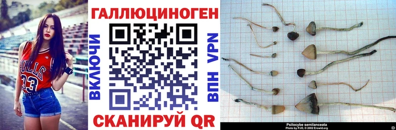 Галлюциногенные грибы GOLDEN TEACHER  Купить  Горячеводский 